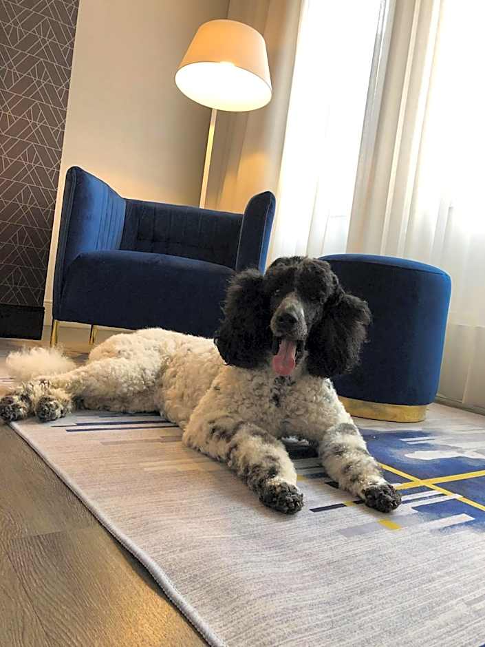 Hotel Royal William, an Ascend Collection Hotel