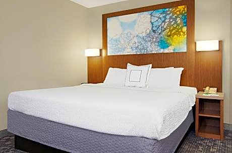 One-Bedroom Executive King Suite with Sofa Bed and Balcony