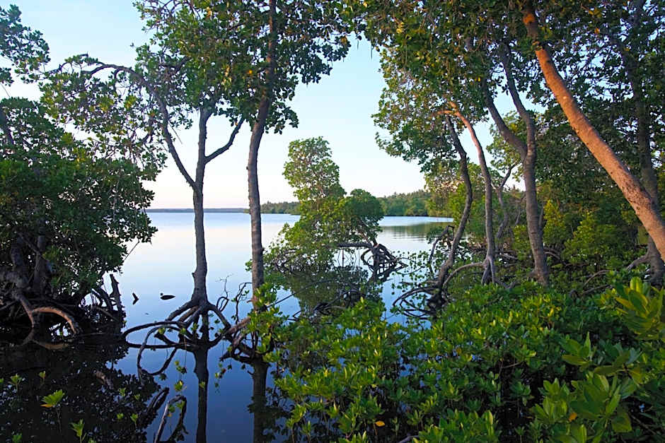 The Mida Creek Hotel