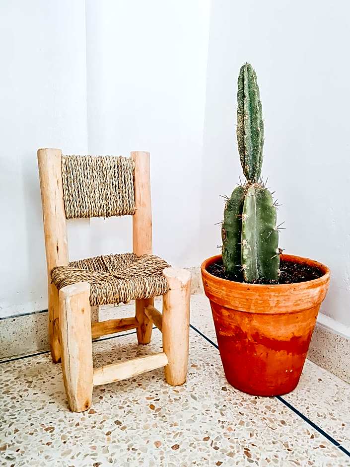 cactus surf house