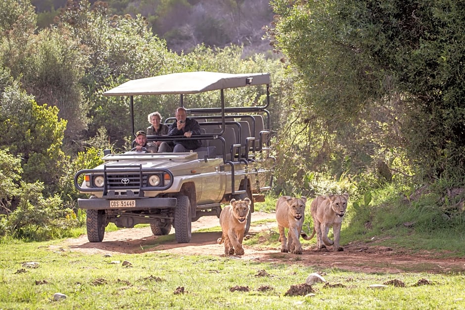 Botlierskop Private Game Reserve