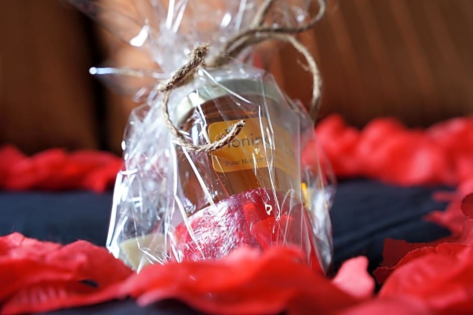 B&B het duinhuisje met jacuzzi, gratis parkeren, 2 fietsen te leen, airco