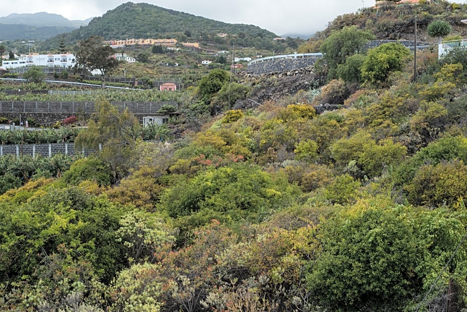 Apartamentos Mayoysa