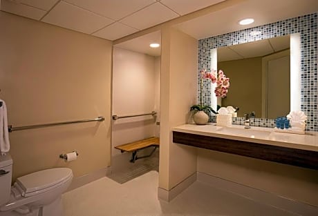 Mobility Accessible Traditional King Guest Room