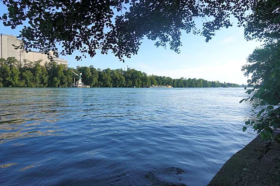 Boutique Hotel zum Ziel - Modern Stay near Basel