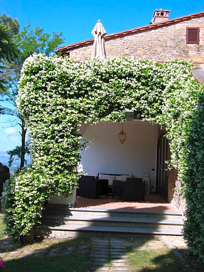 Al Gelso Bianco