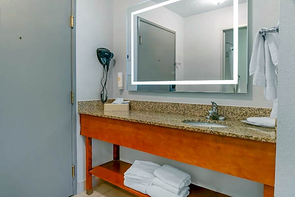 Comfort Suites Auburn Hills-Detroit