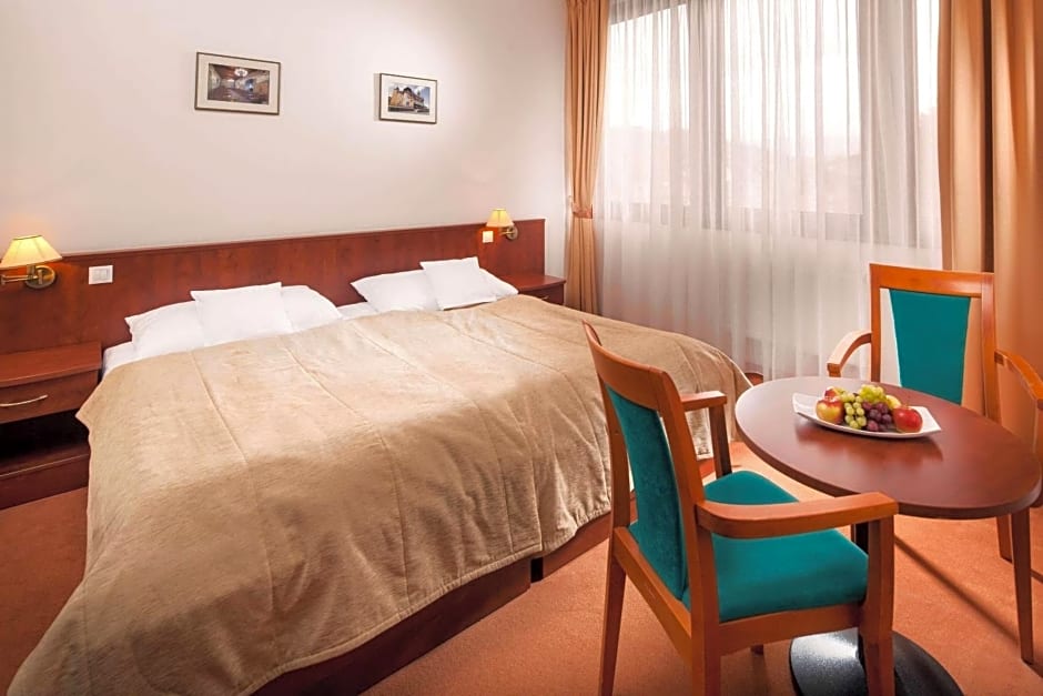 Hotel Vladimir Ústí nad Labem