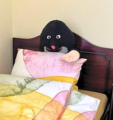 One-Bedroom Apartment - Non-Smoking