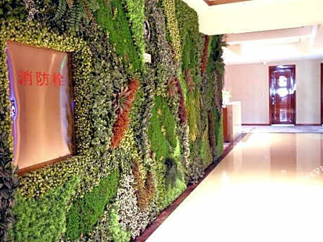 Oriental Hawaii Hotel (Heihe Central Pedestrian Street Shop)