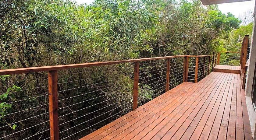 Forest Hill Wilderness