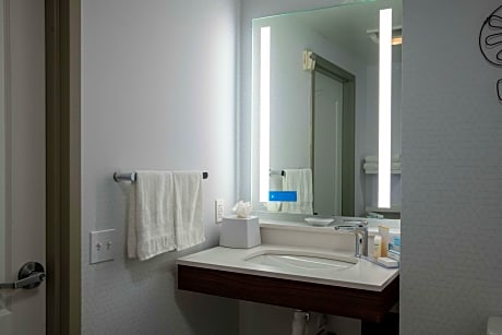 1 King Bed Nonsmoking