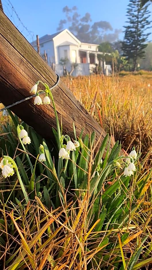 Spindlewood Barn Accommodation