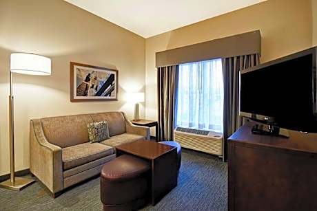 1 King Bed 1 Bedroom Suite Nonsmoking