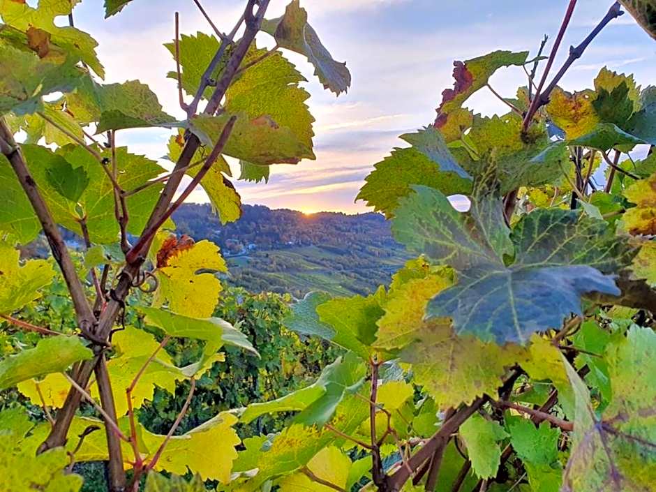 Hotel Herres Alte Metzgerei