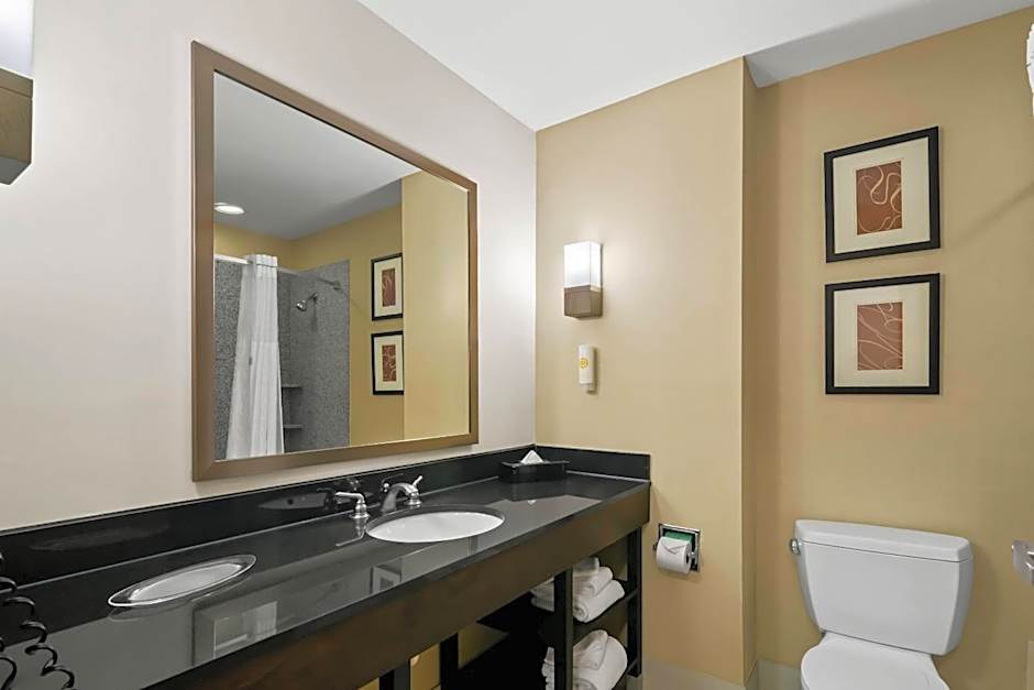 Comfort Suites Bentonville - Rogers