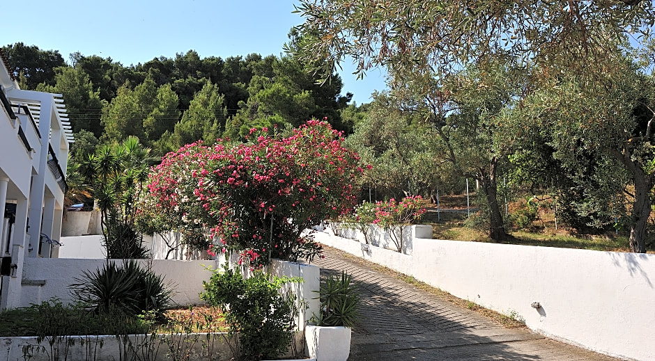 Anamar Skiathos Hotel