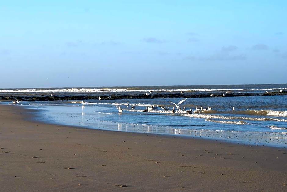 De Herbergh van Flielant