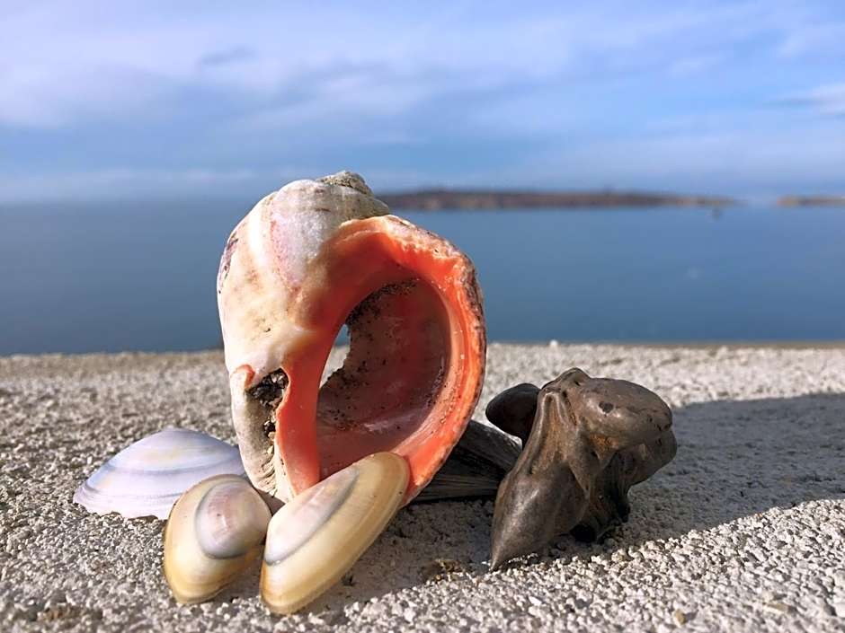 apartment DIAMOND SARAFOVO