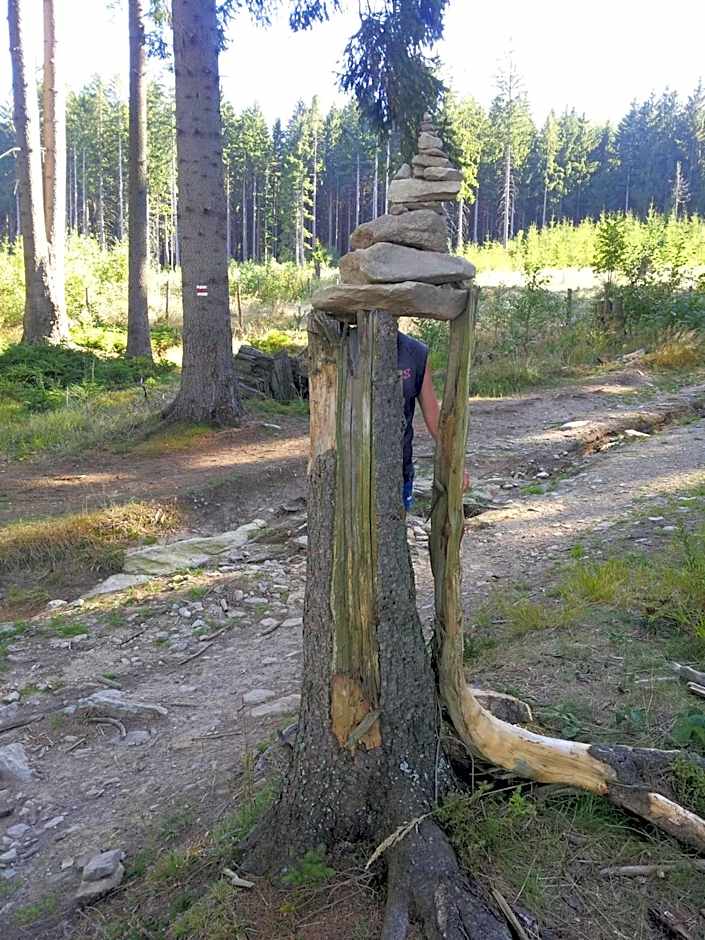 Wellness Hotel Central