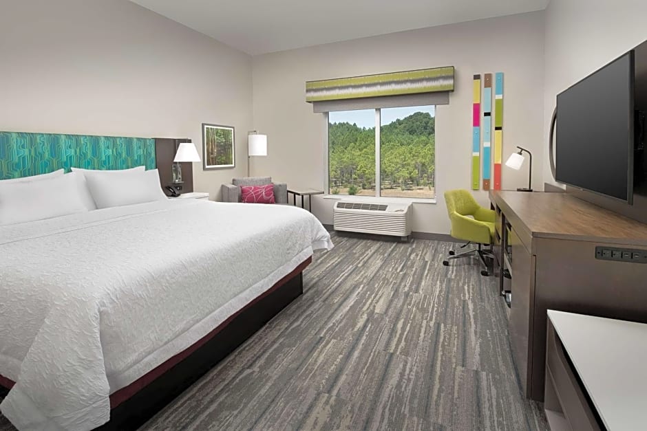 Hampton Inn By Hilton & Suites Lexington, SC