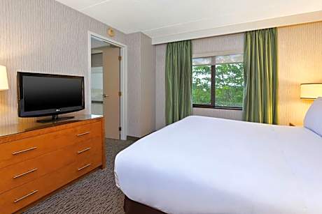 One-Bedroom King Suite