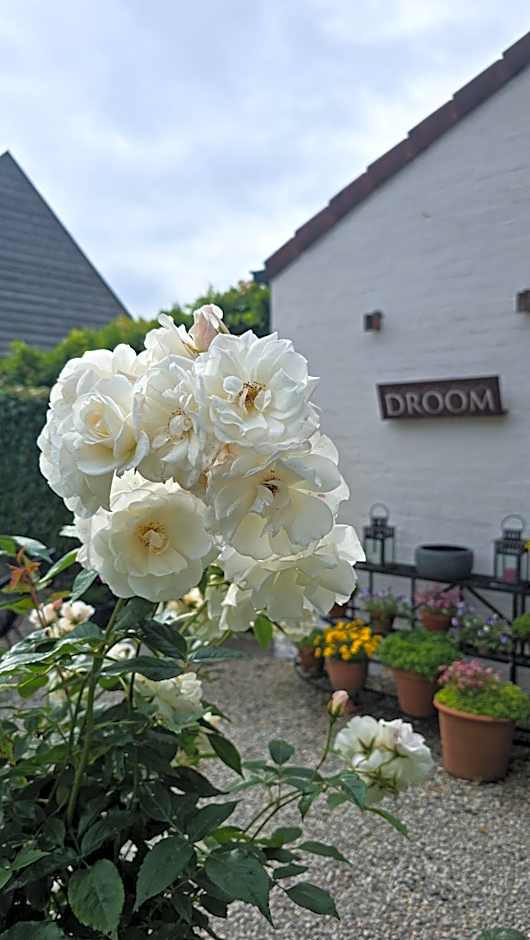 Boutique B&B Droomkerke