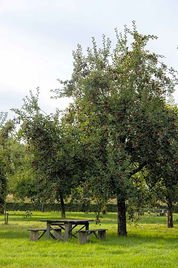 B&B Kasteelhoeve de Kerckhem