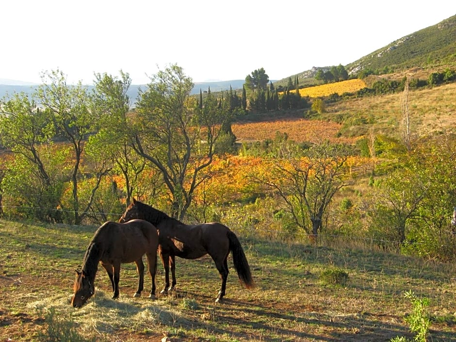 Chambres d'hôtes Gîte Saint Roch