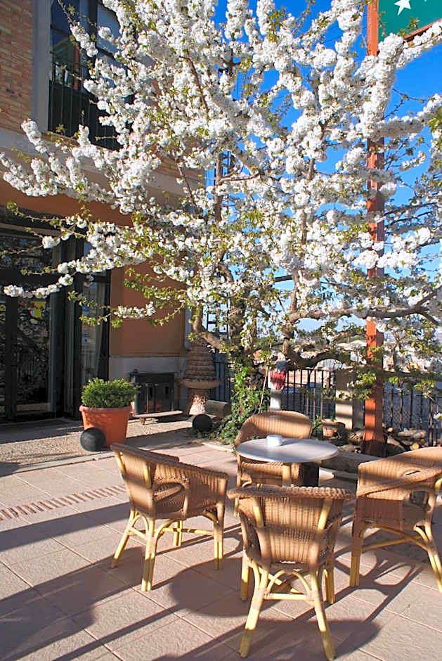 Hotel Patilla Ciudad de Requena