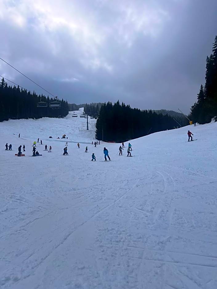 Dimitri Apartament Emerald , near Gondola