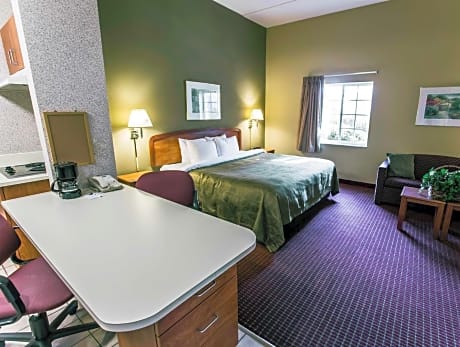 1 King Bed, Suite, Smoking
