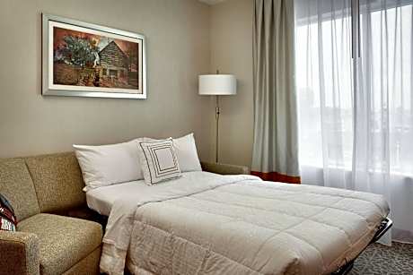 One-Bedroom Queen Suite