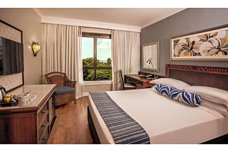 Standard Room 1 Double Bed Smoking