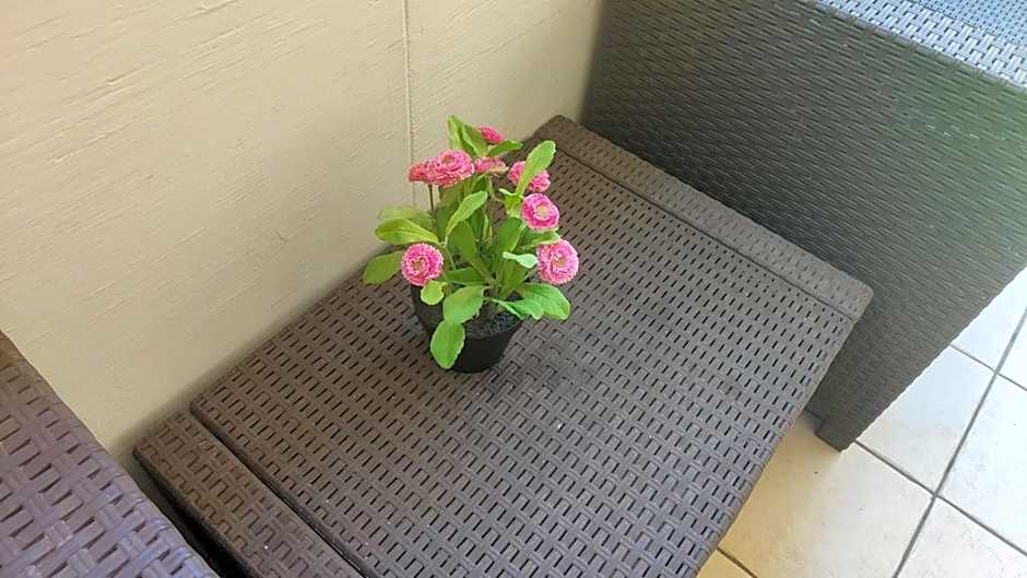 Hotel Eriale Nuova Gestione