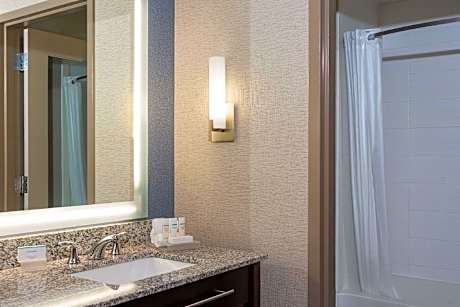 1King Accessible Tub Studio Suite Nonsmoking