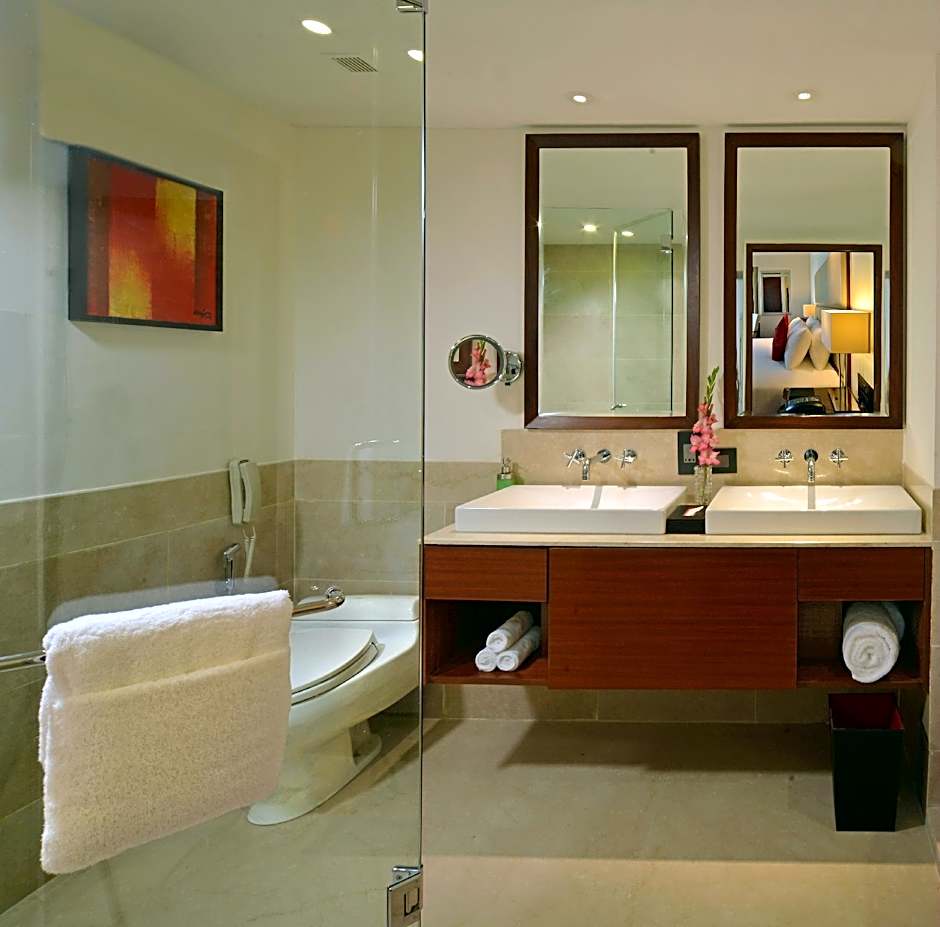 Park Plaza Chandigarh Zirakpur