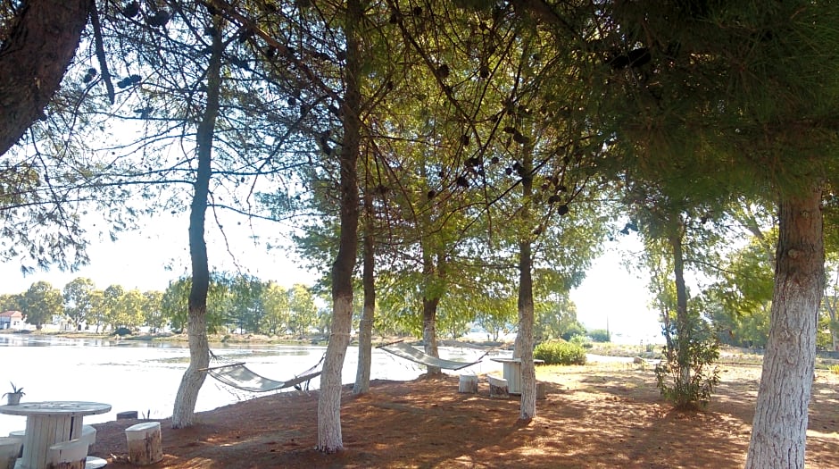 Villa Olga Hotel Apartments & Studios