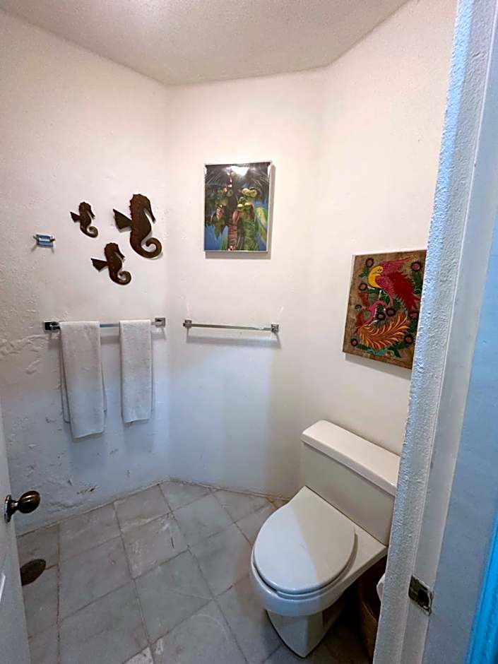 HAB PTa B ÁREA DE VILLAS DENTRO DEL HOTEL Junto al Krystal EN IXTAPA WIFI 2A 1M Con playa