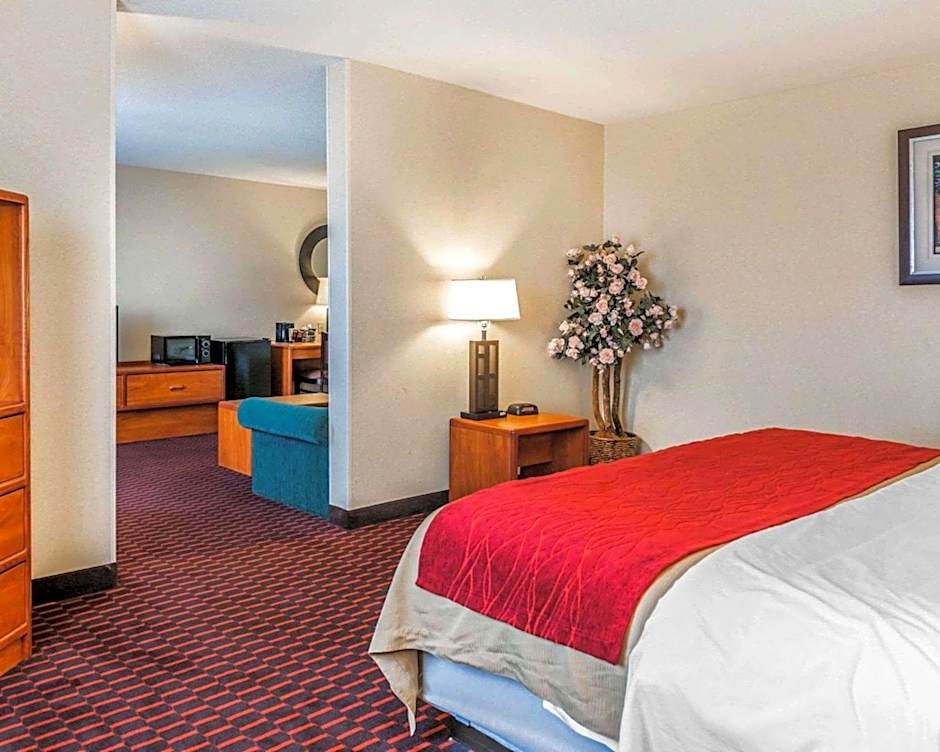 Comfort Inn Avon-Indianapolis West
