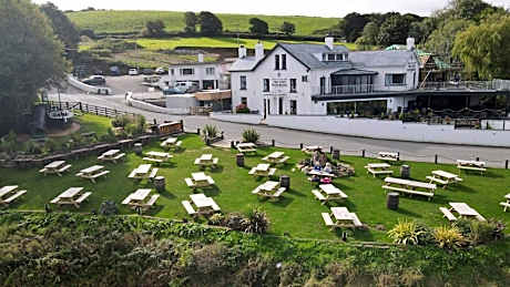 The Teifi Waterside Hotel