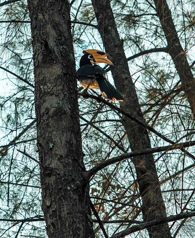 Hillhouse - Koh Yao Noi