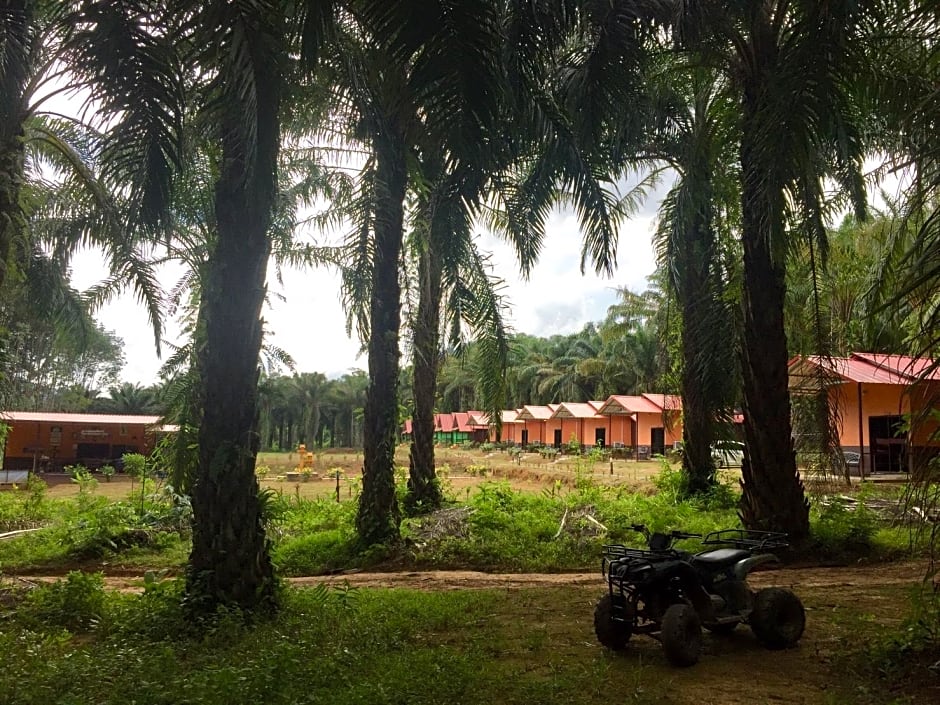 Photo 1 of 50 of Khao Sok Evergreen House