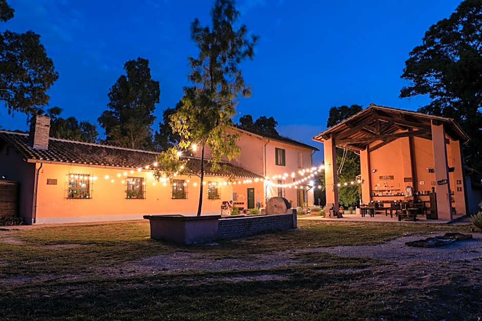 Escuelita Viva