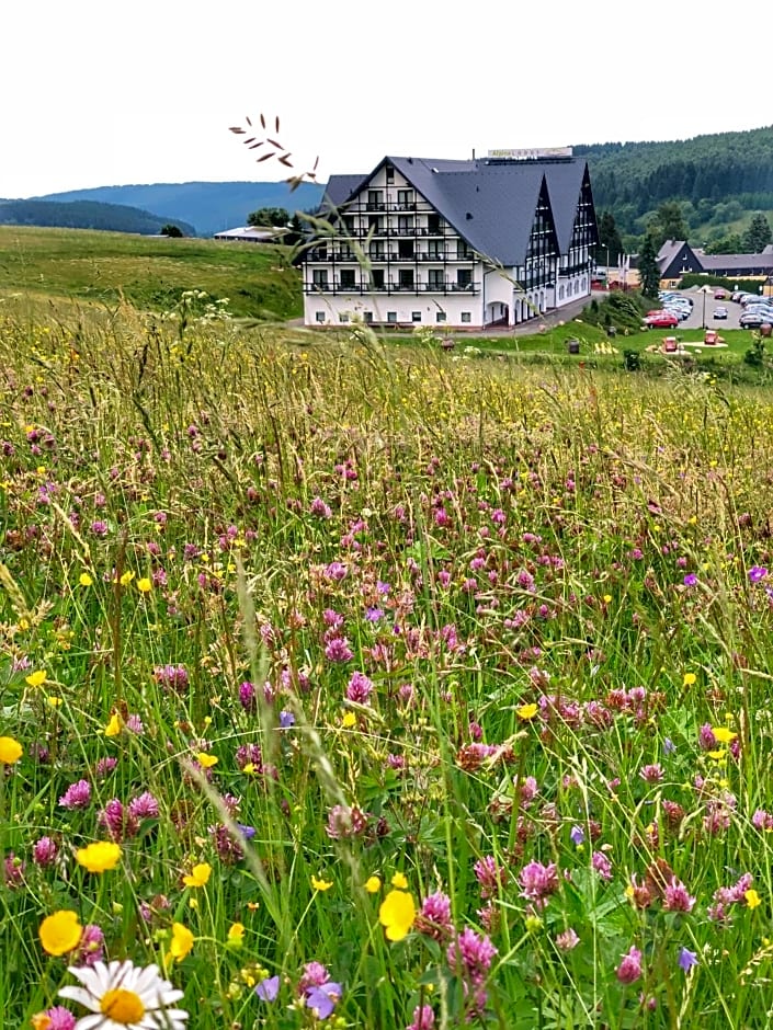 Alpina Lodge Hotel Oberwiesenthal