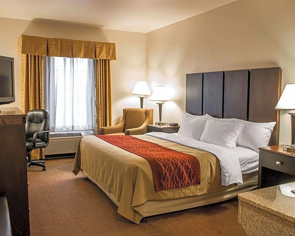Comfort Inn & Suites Fenton