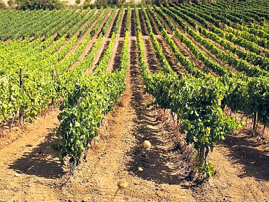 Baglio Caruana Cantina & Relais