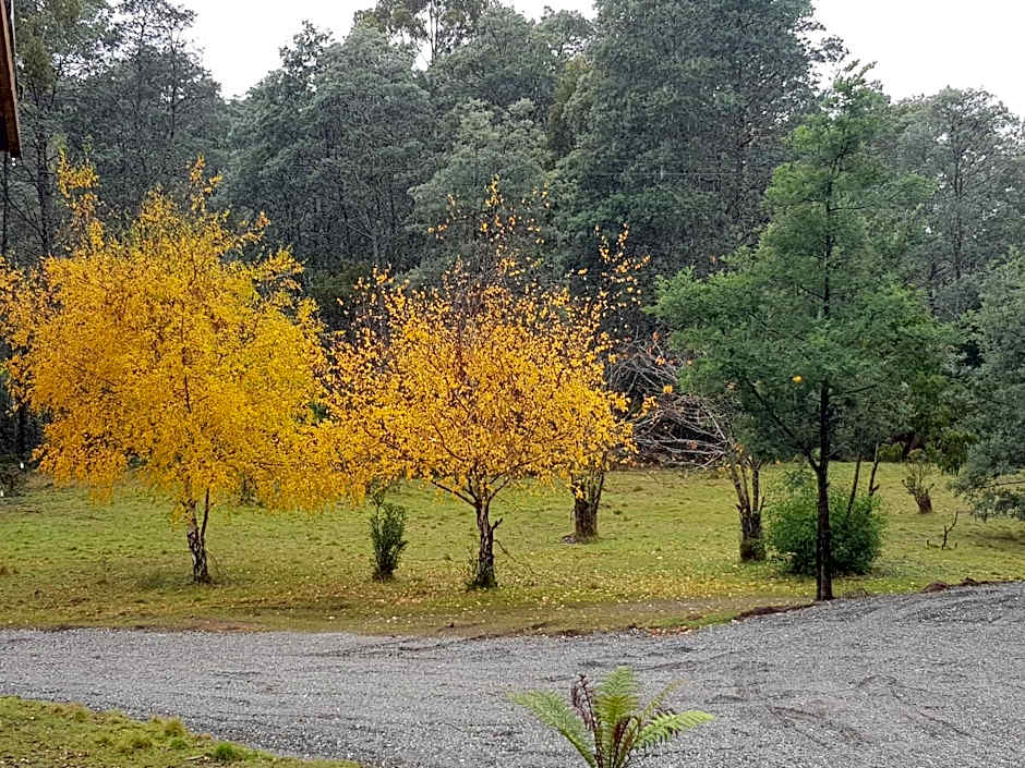 Cradle Alpine Retreat