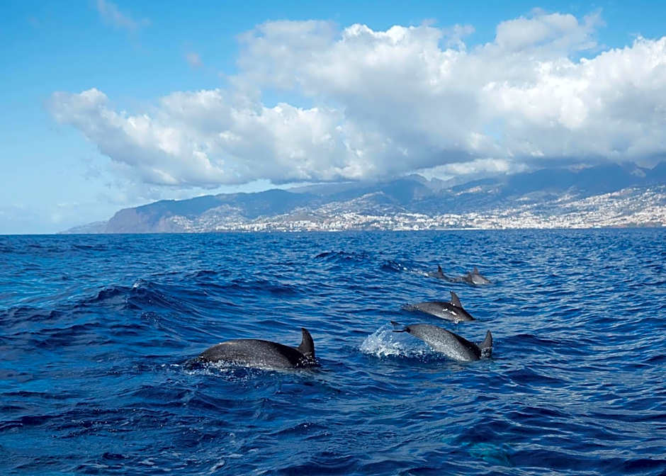 Reid's Palace, A Belmond Hotel, Madeira