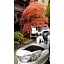 Kusatsu Onsen 326 Yamanoyu Hotel - Vacation STAY 10465v